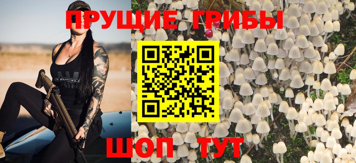 Псилоцибиновые грибы Psilocybe  Вход с VPN  Баксан  Галлюциногенные грибы MAGIC MUSHROOMS 