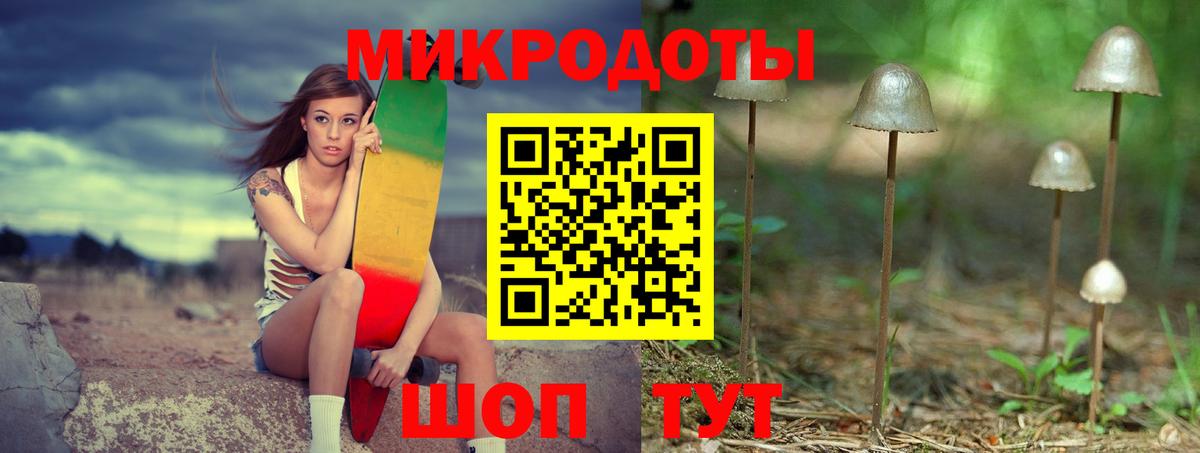 Псилоцибиновые грибы Psilocybe Баксан